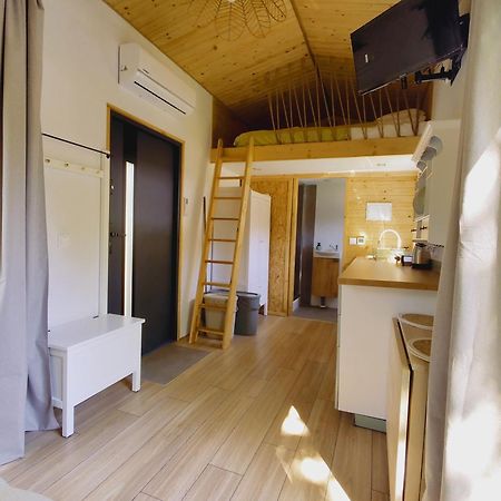 Apartamenty Zabcia Гжибово Екстер'єр фото